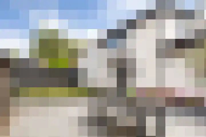 Laan van Niftarlake 39 Tienhoven thumbnail 6