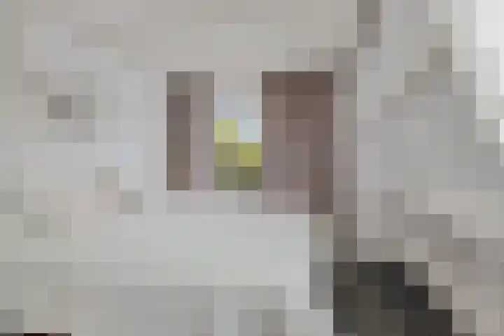 Laan van Niftarlake 43 Tienhoven thumbnail 39