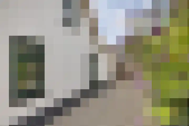 Laan van Niftarlake 43 Tienhoven thumbnail 5