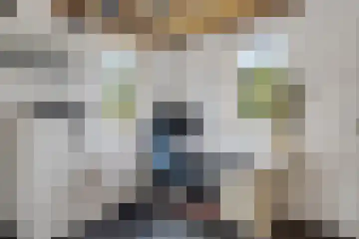 Laan van Niftarlake 43 Tienhoven thumbnail 6