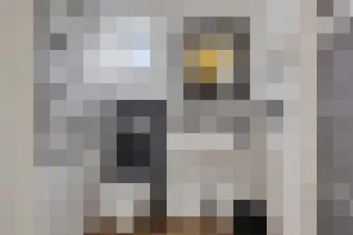 Laan van Niftarlake 43 Tienhoven thumbnail 8