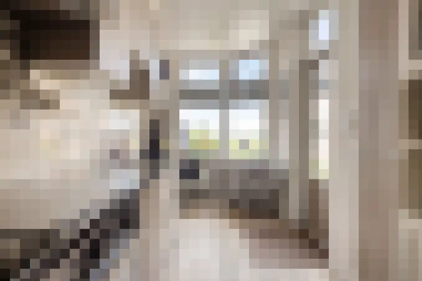 Laan van Niftarlake 61 Tienhoven thumbnail 10