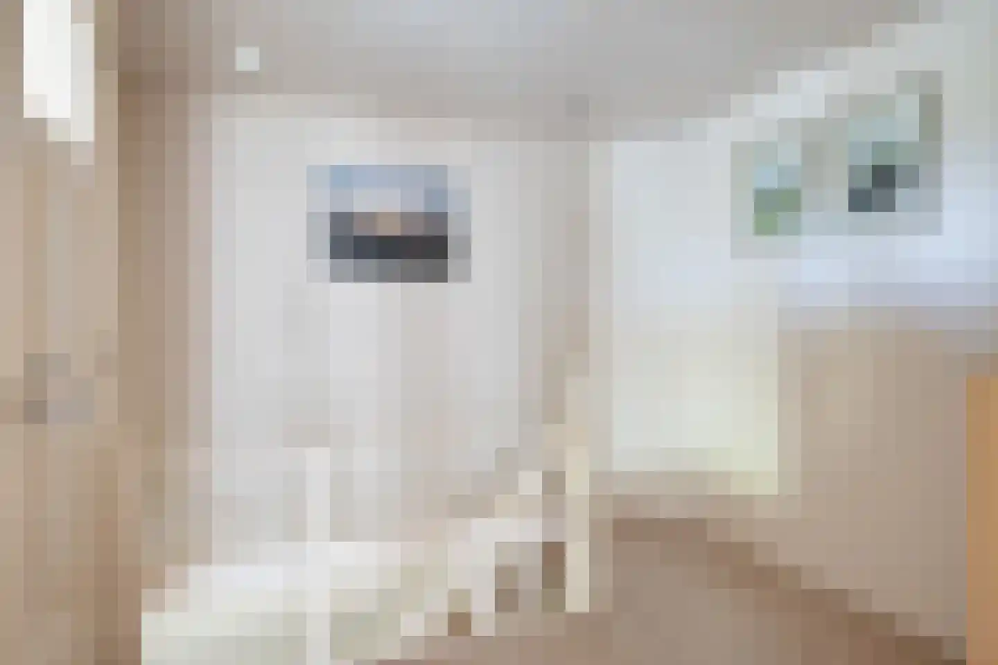 Laan van Niftarlake 61 Tienhoven thumbnail 12