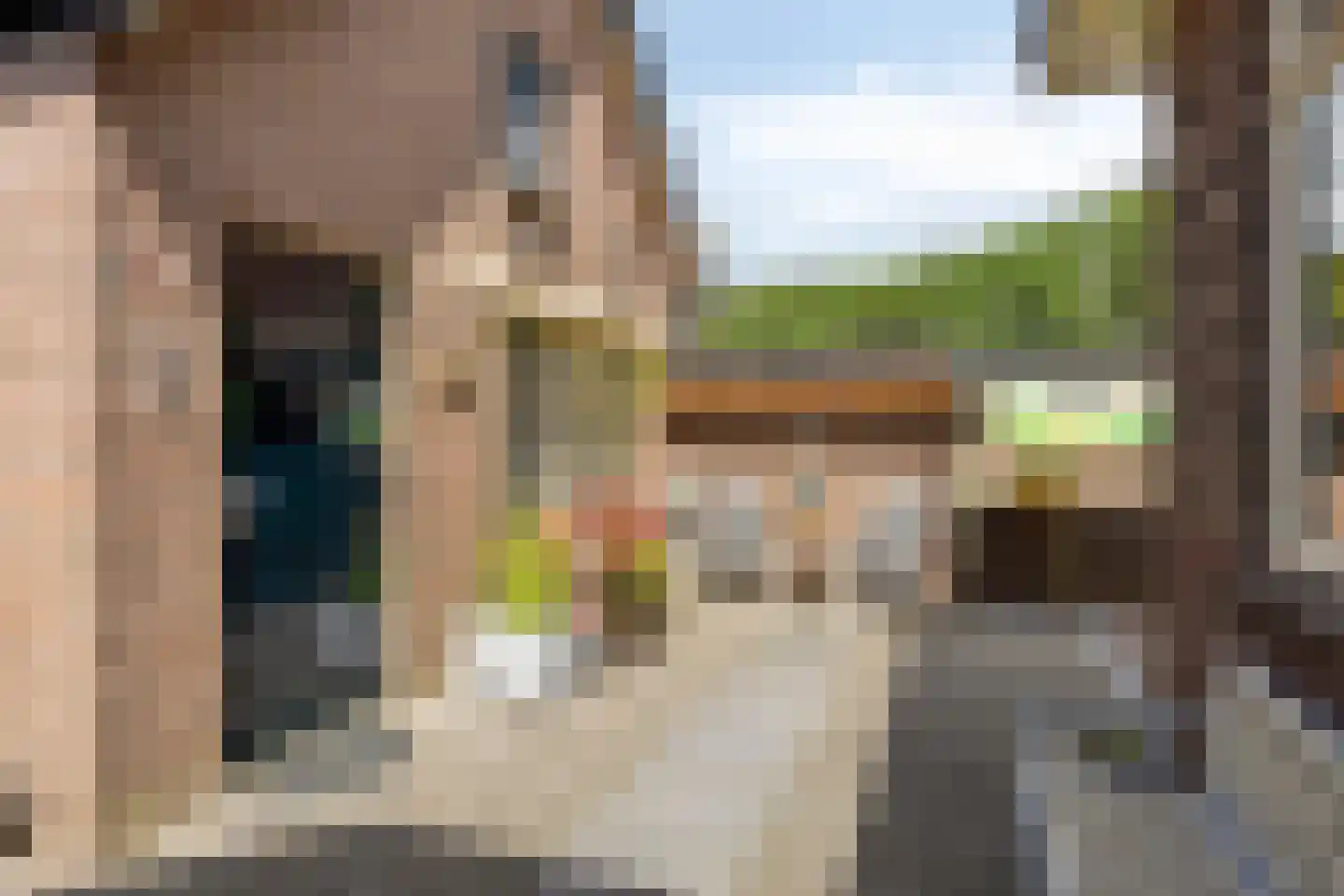 Laan van Niftarlake 61 Tienhoven thumbnail 21