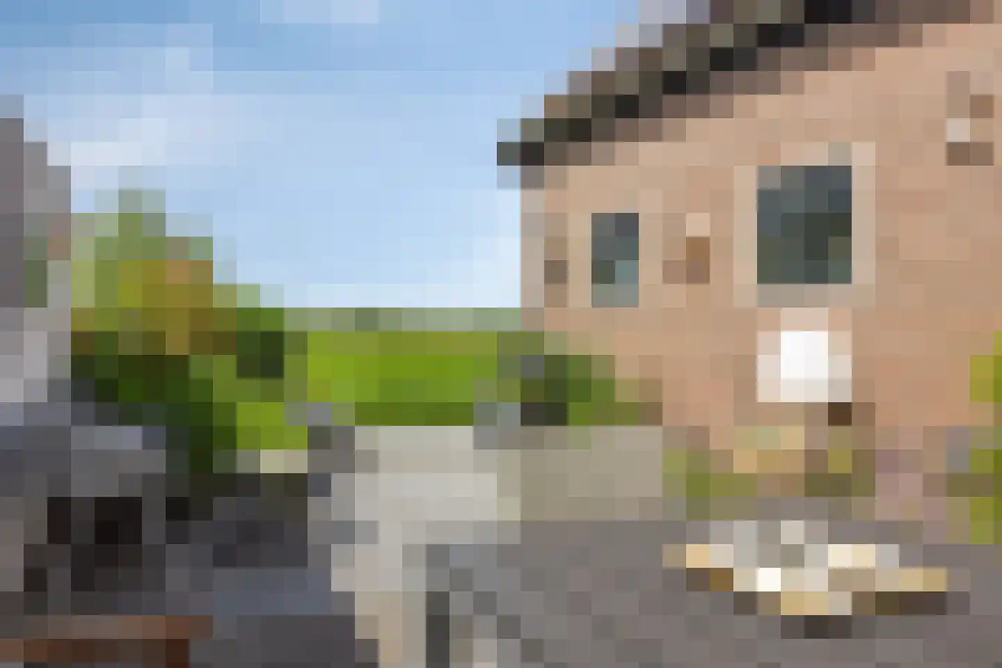 Laan van Niftarlake 61 Tienhoven thumbnail 26