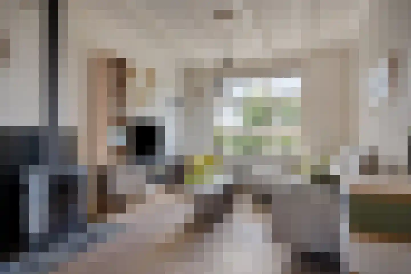 Laan van Niftarlake 61 Tienhoven foto 3