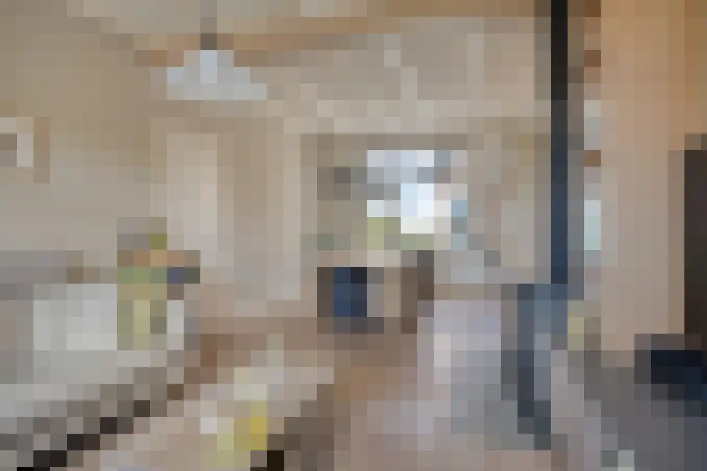 Laan van Niftarlake 61 Tienhoven thumbnail 4