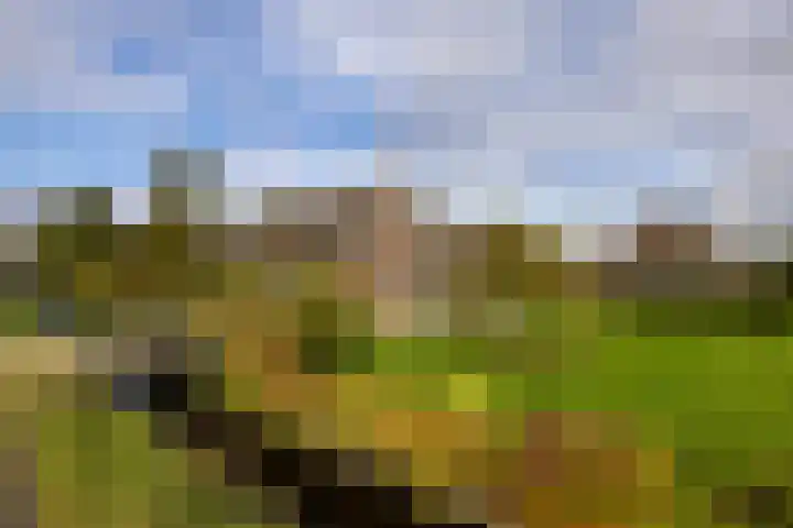 Laan van Niftarlake 68 Tienhoven