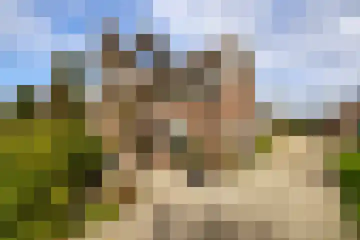 Laan van Niftarlake 68 Tienhoven foto 2
