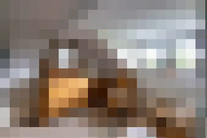Laan van Niftarlake 68 Tienhoven thumbnail 24