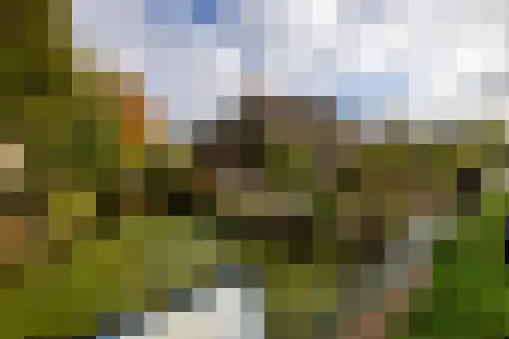 Laan van Niftarlake 68 Tienhoven foto 3