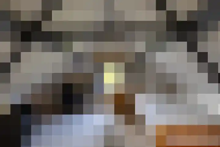 Laan van Niftarlake 68 Tienhoven thumbnail 30