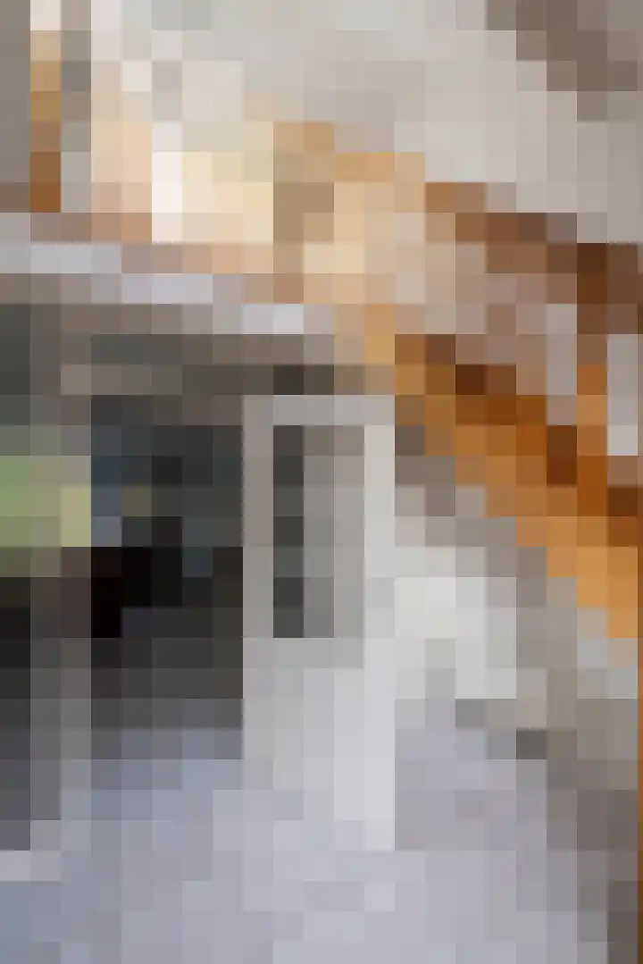 Laan van Niftarlake 68 Tienhoven thumbnail 32