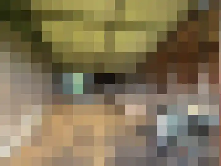 Laan van Niftarlake 68 Tienhoven thumbnail 46