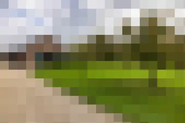Laan van Niftarlake 68 Tienhoven thumbnail 48