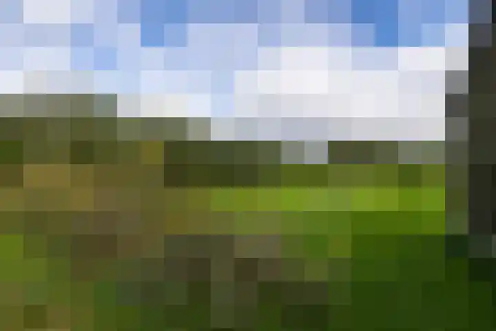 Laan van Niftarlake 68 Tienhoven thumbnail 52