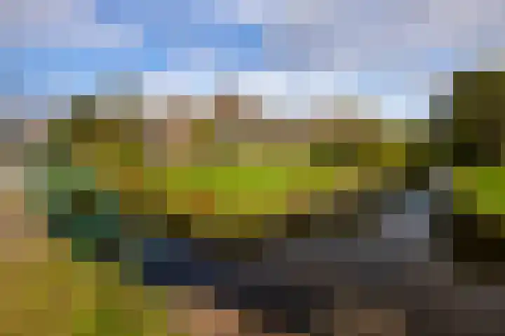 Laan van Niftarlake 68 Tienhoven thumbnail 56