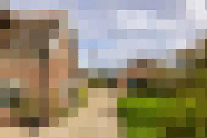 Laan van Niftarlake 68 Tienhoven thumbnail 57