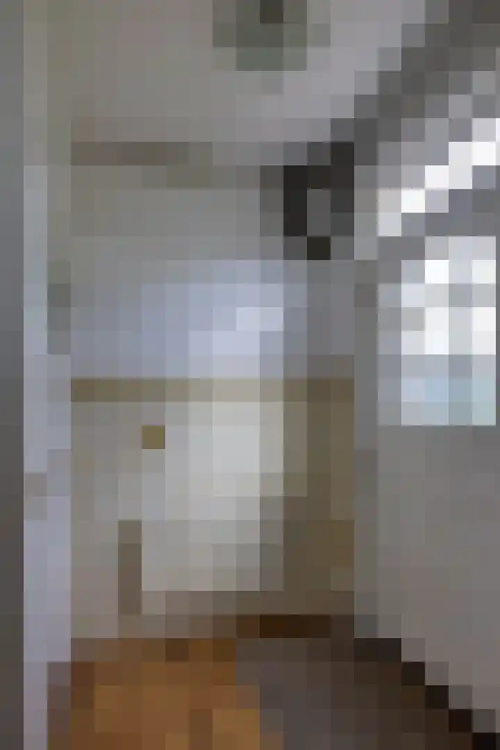 Laan van Niftarlake 68 Tienhoven thumbnail 6