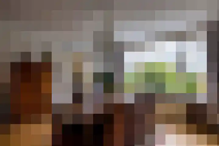 Laan van Niftarlake 68 Tienhoven thumbnail 8