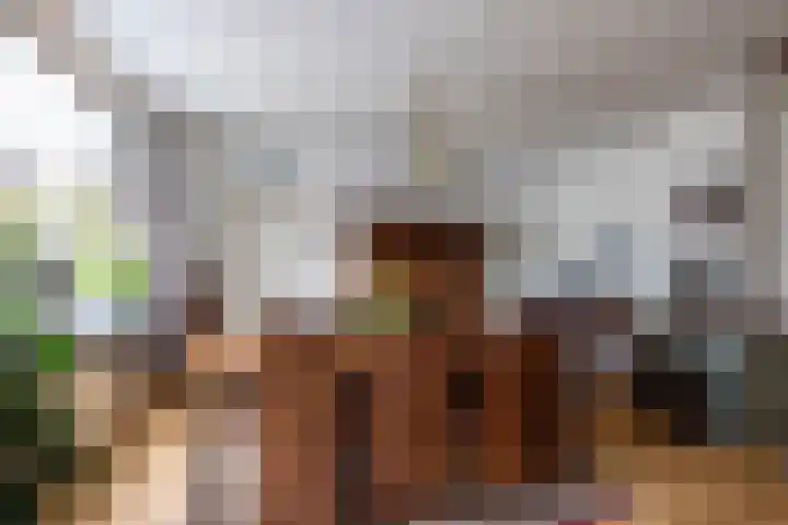 Laan van Niftarlake 68 Tienhoven thumbnail 9