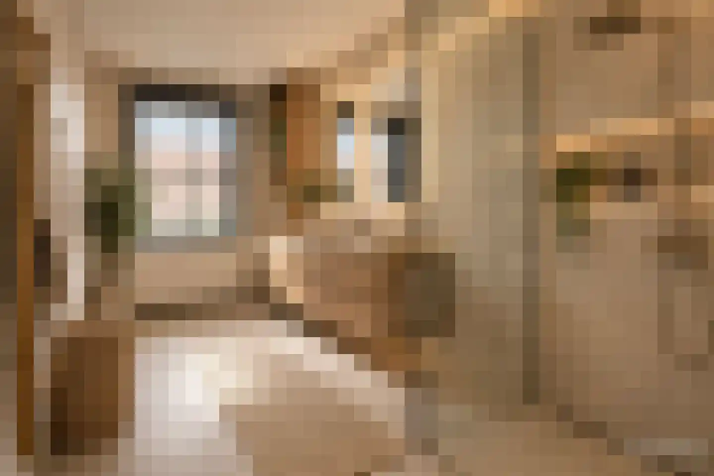 Laan van Nootdorp 57 Nootdorp thumbnail 15