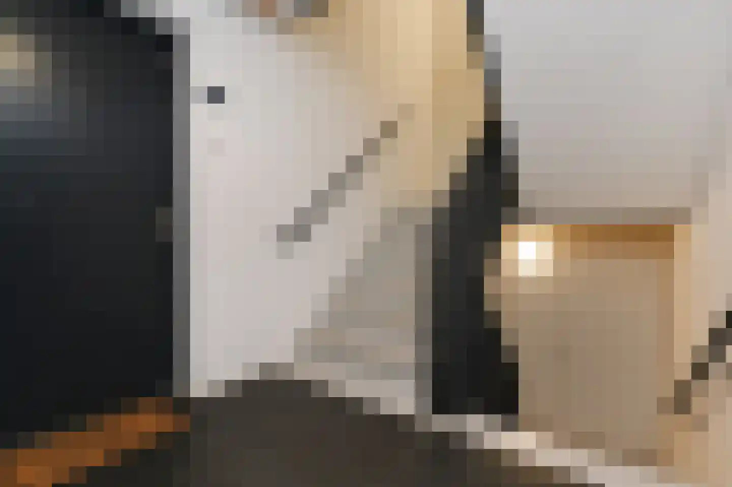 Laan van Nootdorp 57 Nootdorp thumbnail 18