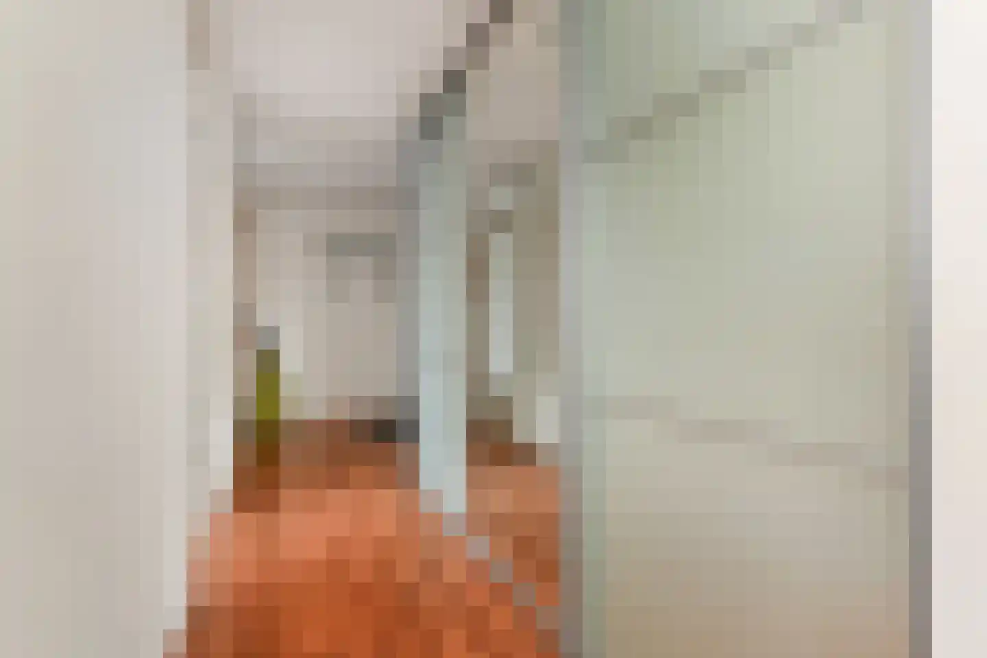 Laan van Nootdorp 57 Nootdorp thumbnail 29