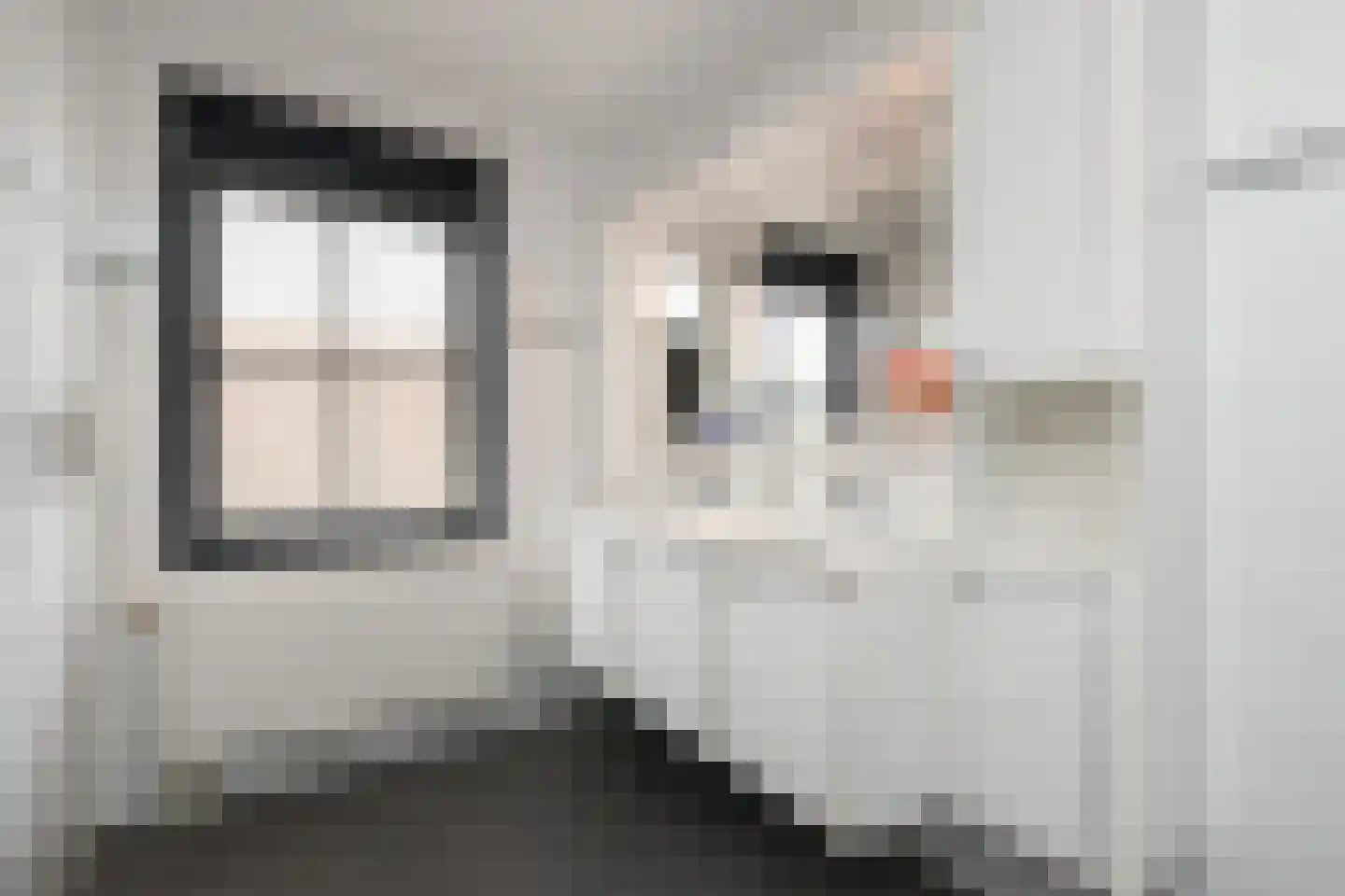 Laan van Nootdorp 57 Nootdorp thumbnail 31