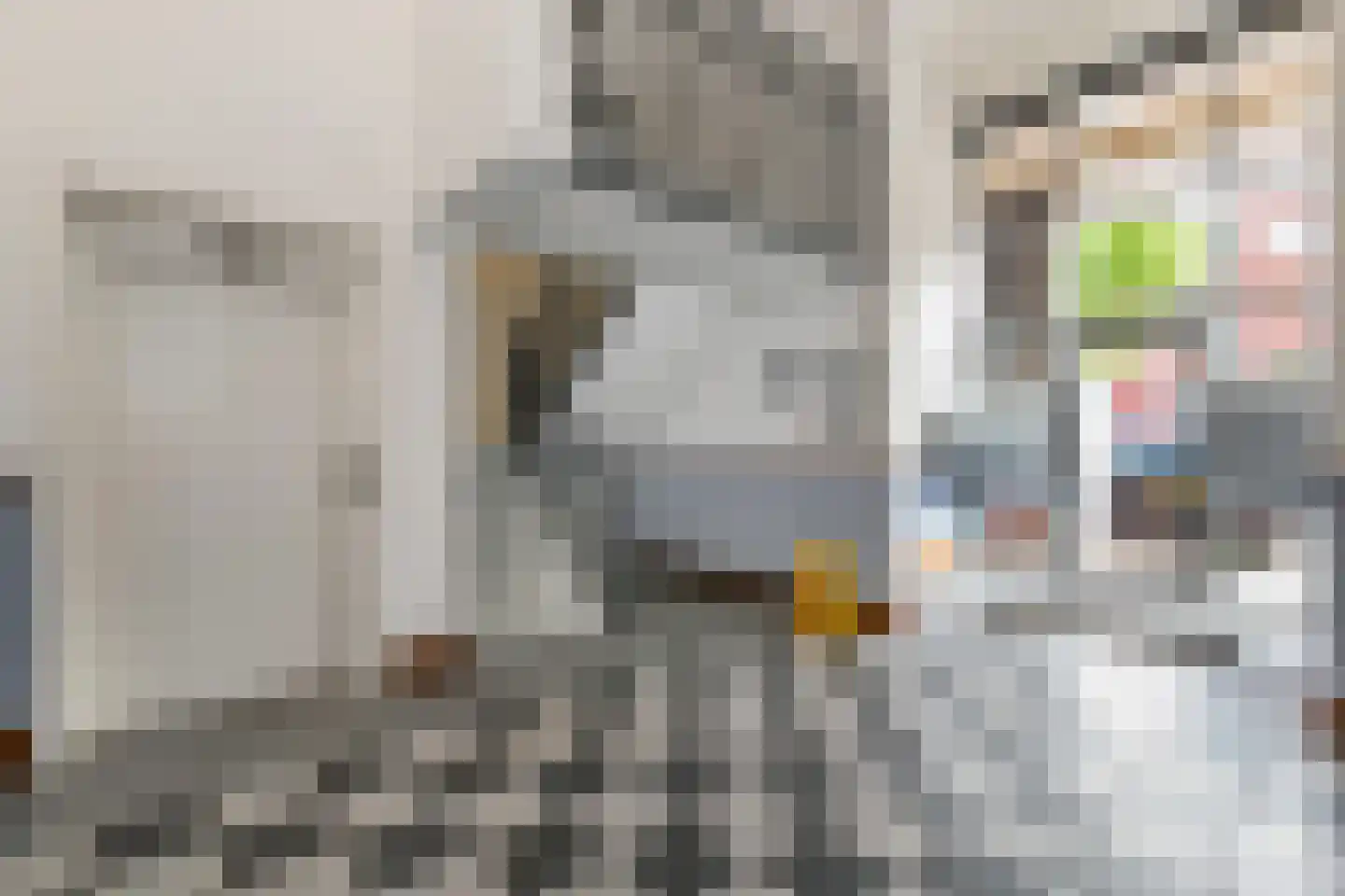 Laan van Nootdorp 57 Nootdorp thumbnail 8