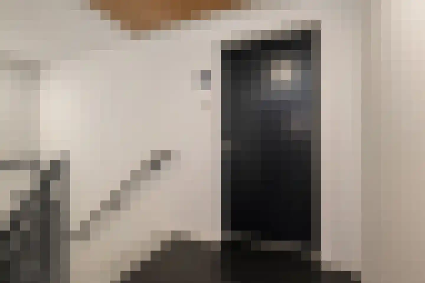 Laan van Nootdorp 57 Nootdorp thumbnail 9