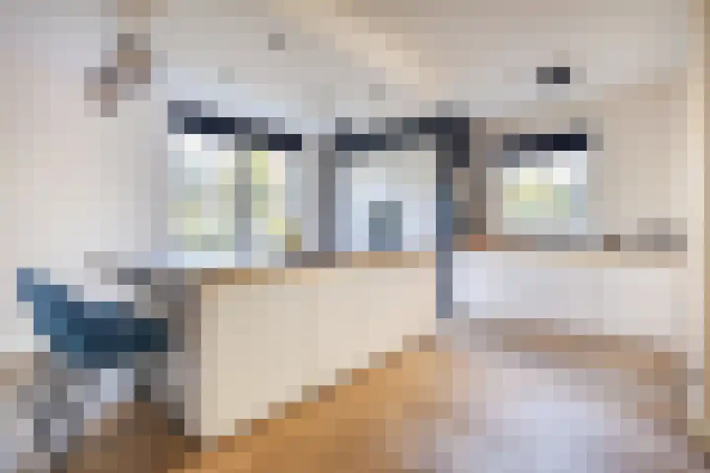 Laan van Norfolk 35 Hoofddorp thumbnail 23