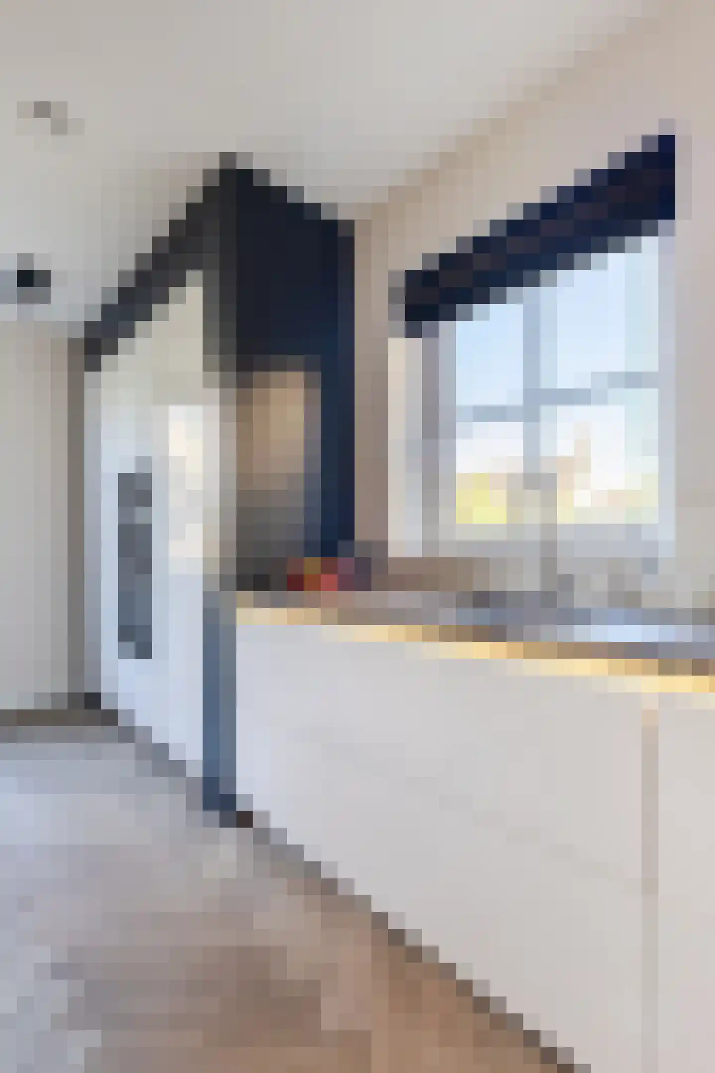 Laan van Norfolk 35 Hoofddorp thumbnail 26