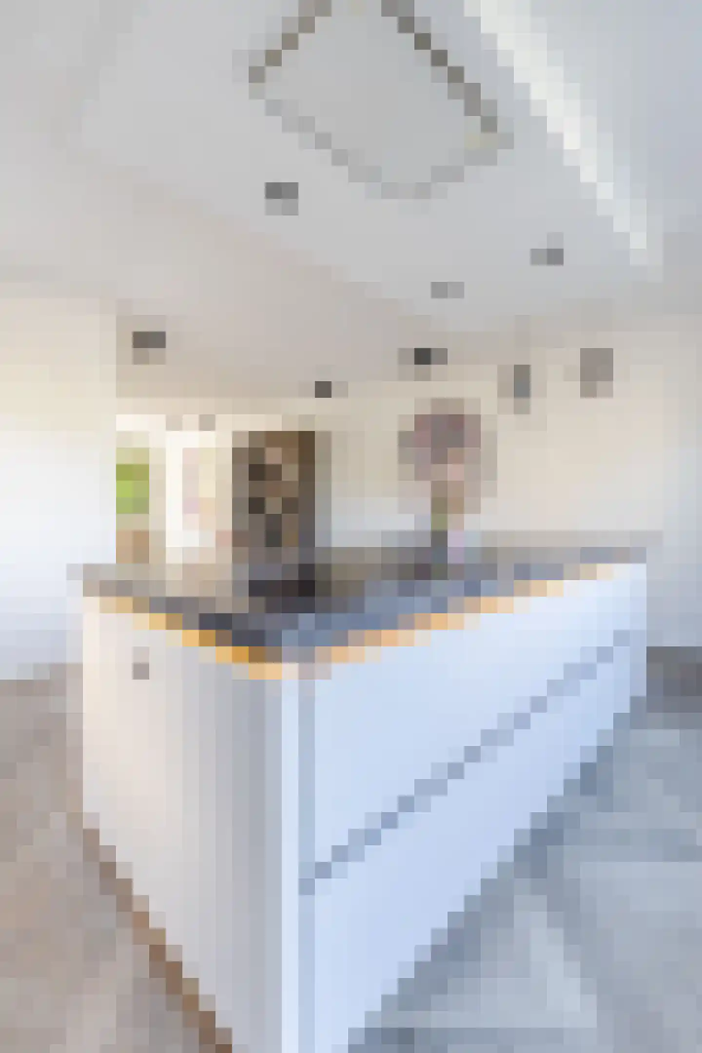Laan van Norfolk 35 Hoofddorp thumbnail 27