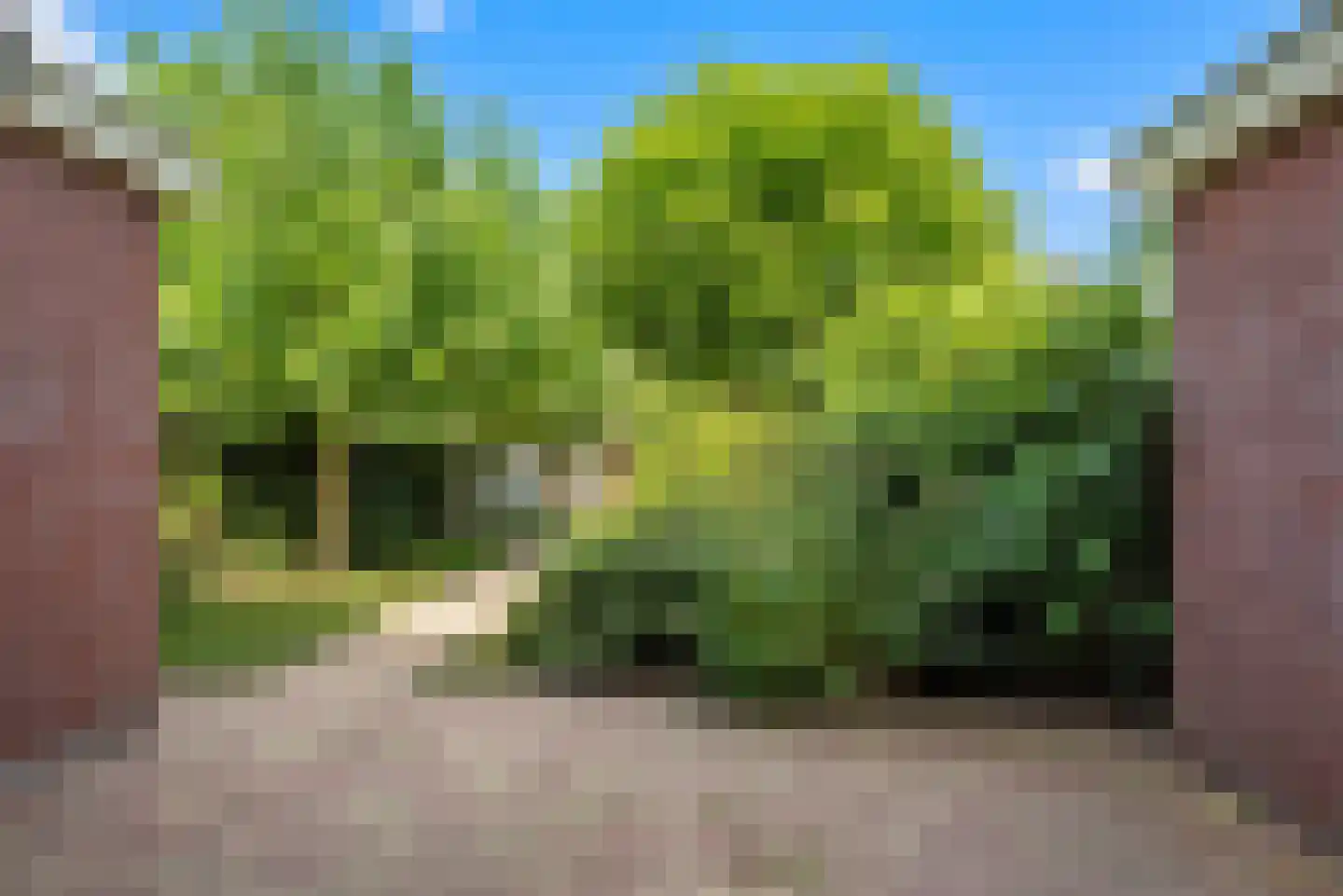 Laan van Norma 133 Nieuw-Vennep thumbnail 8