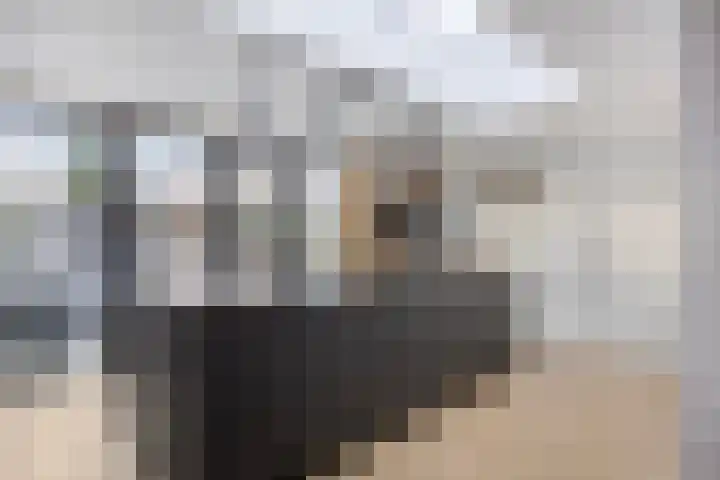 Laan van Nuenhem 26 Nuenen thumbnail 15