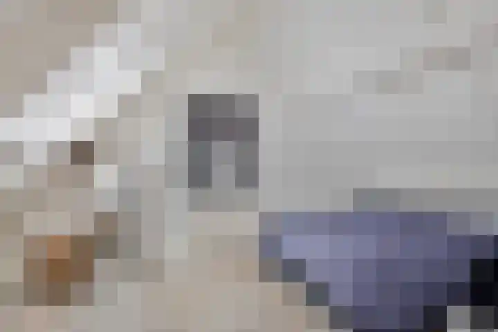 Laan van Nuenhem 26 Nuenen thumbnail 29