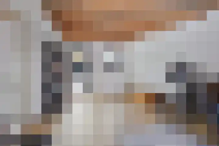 Laan van Nuenhem 26 Nuenen thumbnail 40