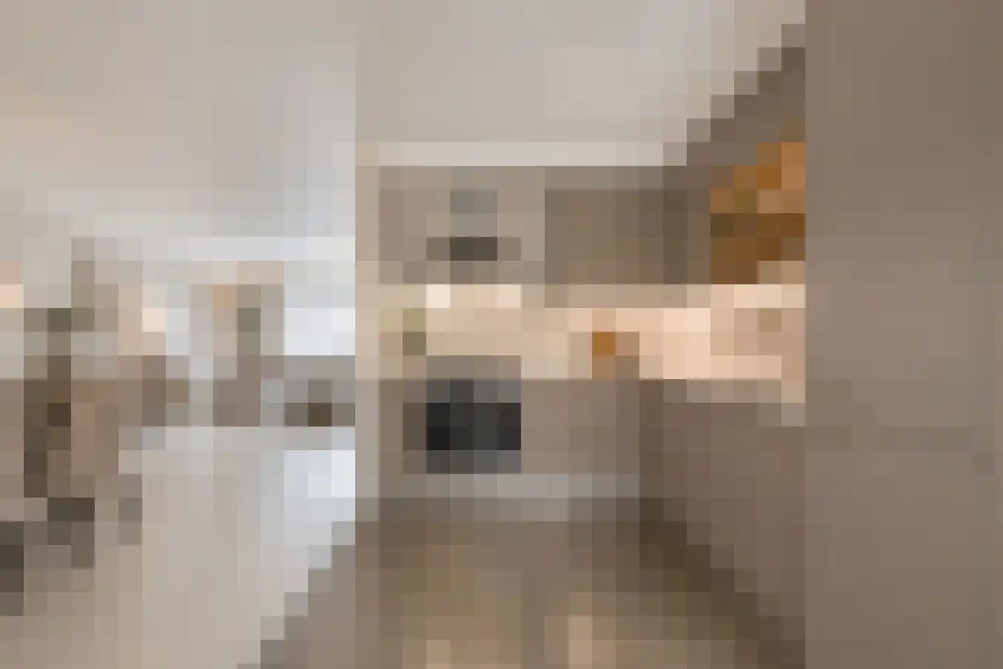 Laan van Nuenhem 3 Nuenen thumbnail 14