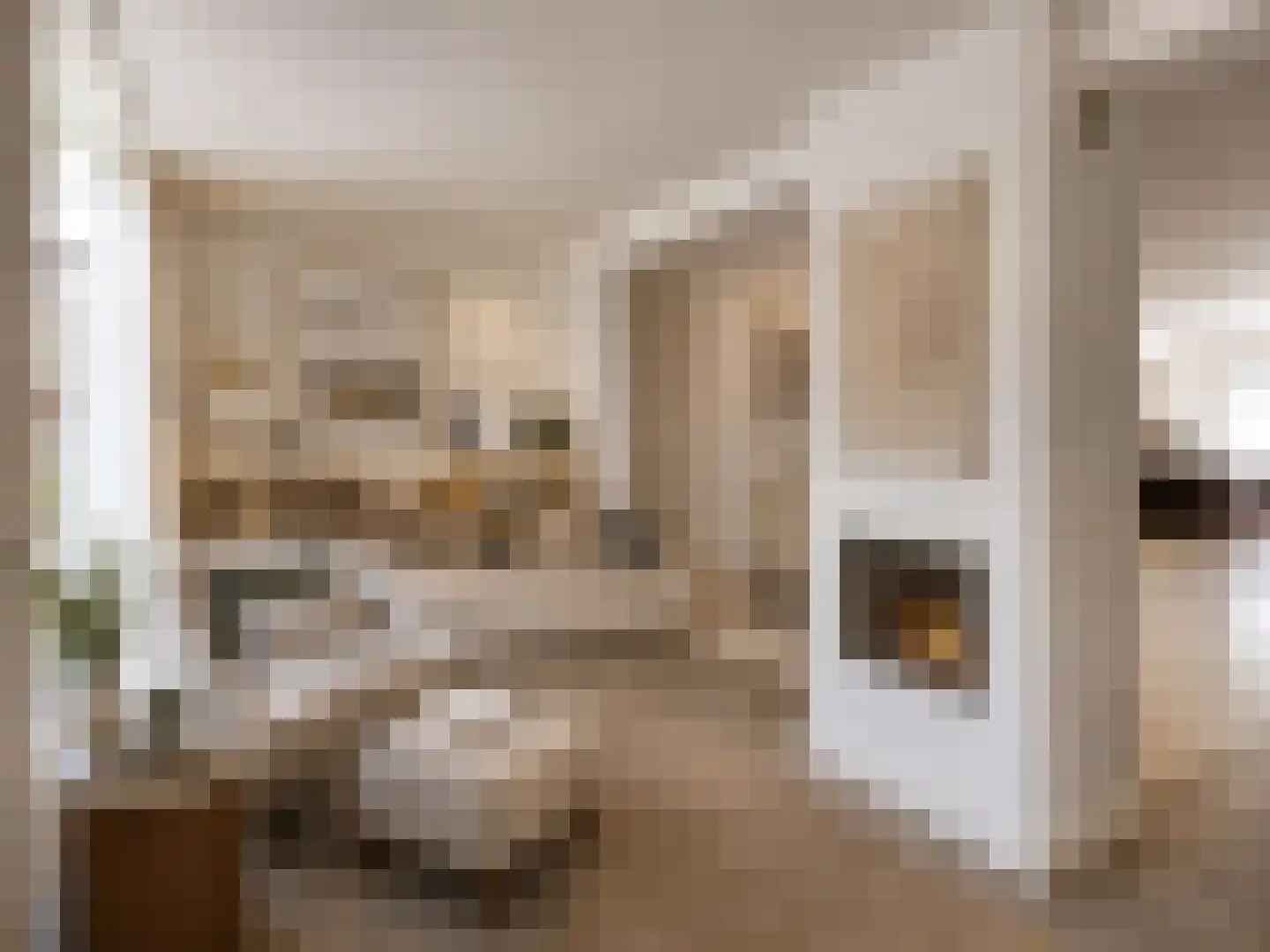 Laan van Nuenhem 3 Nuenen thumbnail 20