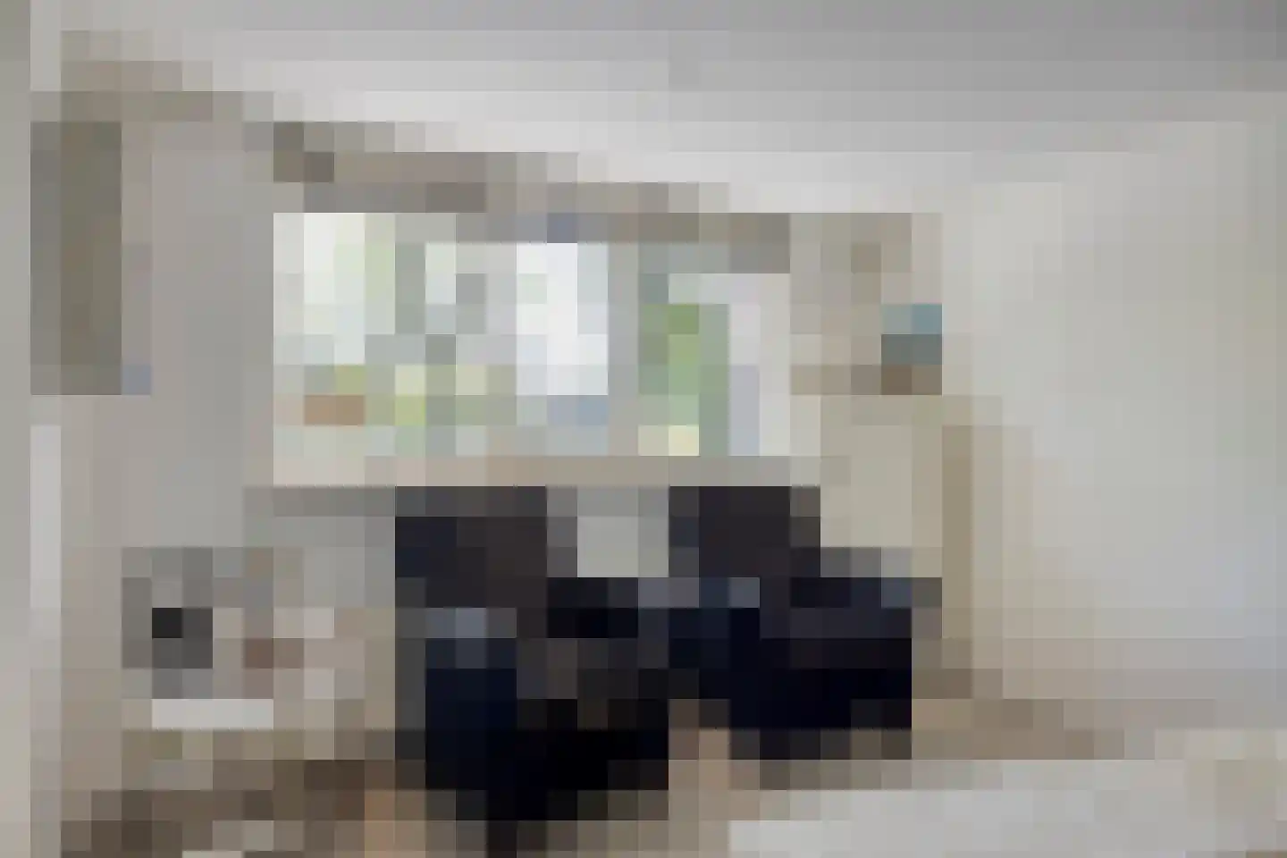 Laan van Nuenhem 3 Nuenen thumbnail 24
