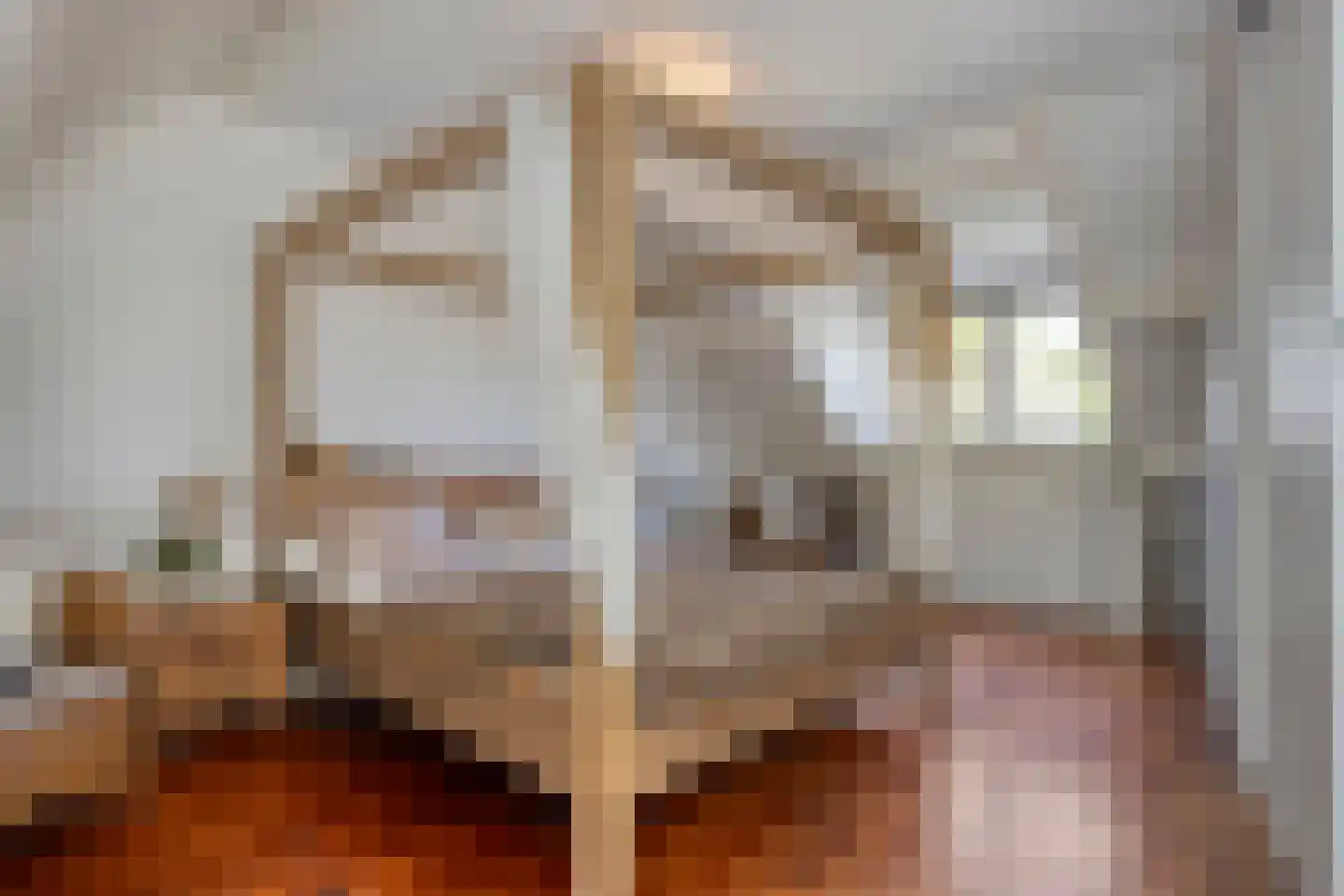 Laan van Nuenhem 3 Nuenen thumbnail 26