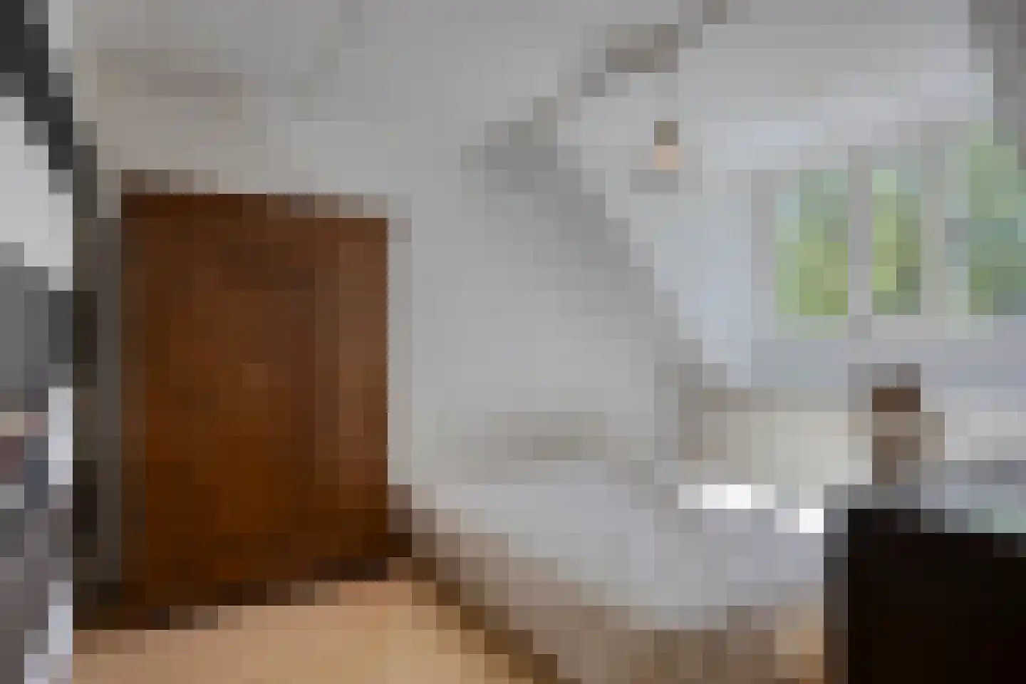 Laan van Nuenhem 3 Nuenen thumbnail 31