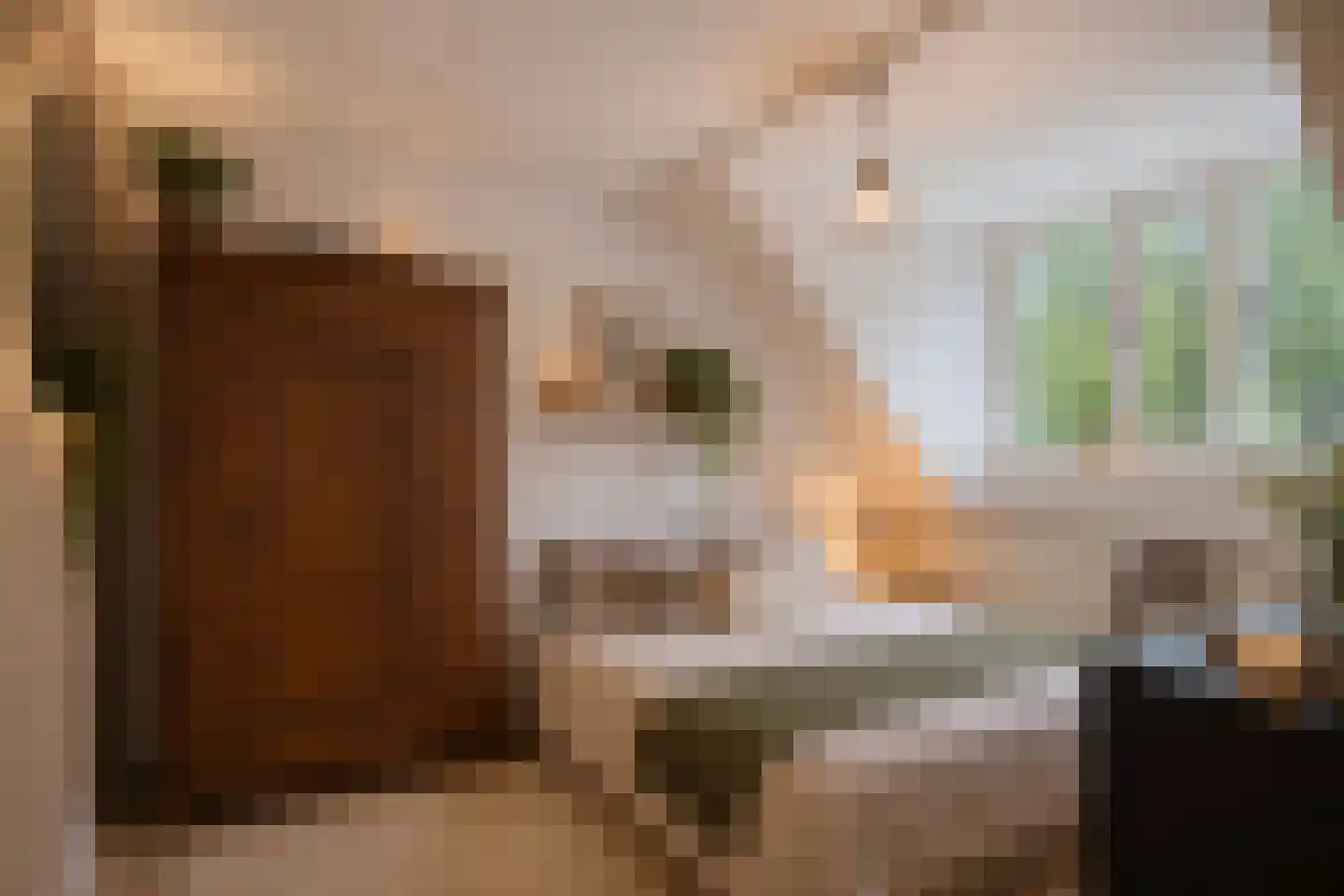 Laan van Nuenhem 3 Nuenen thumbnail 32