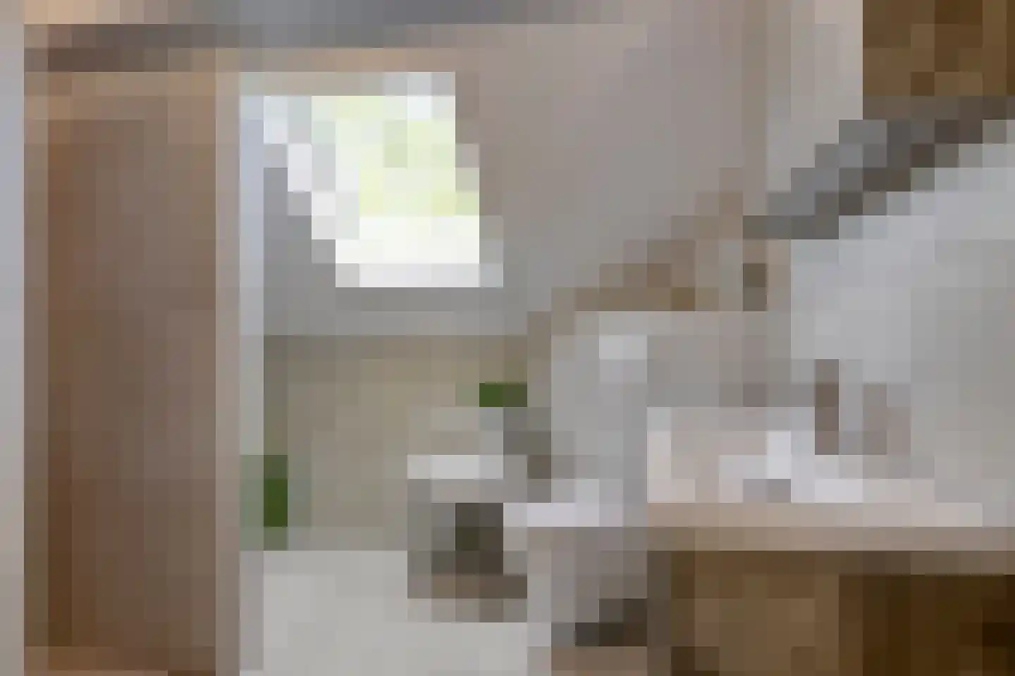 Laan van Nuenhem 3 Nuenen thumbnail 35