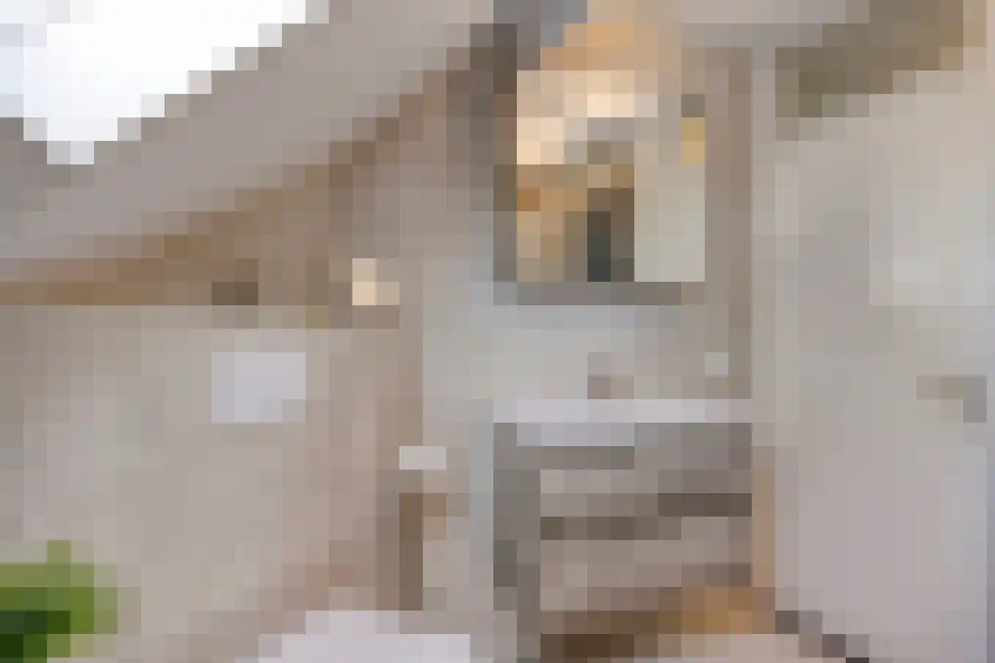 Laan van Nuenhem 3 Nuenen thumbnail 36