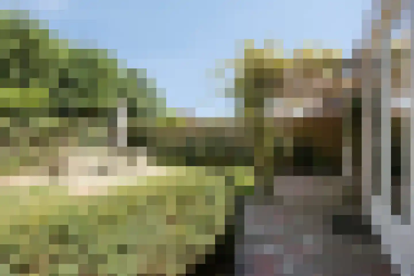 Laan van Nuenhem 3 Nuenen thumbnail 40