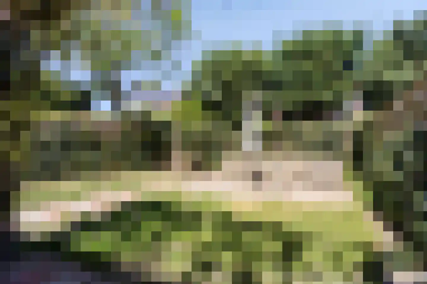 Laan van Nuenhem 3 Nuenen thumbnail 41