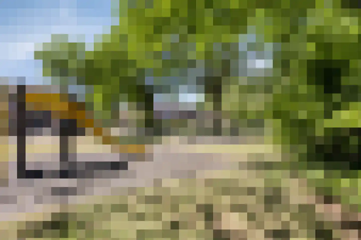 Laan van Nuenhem 3 Nuenen thumbnail 49
