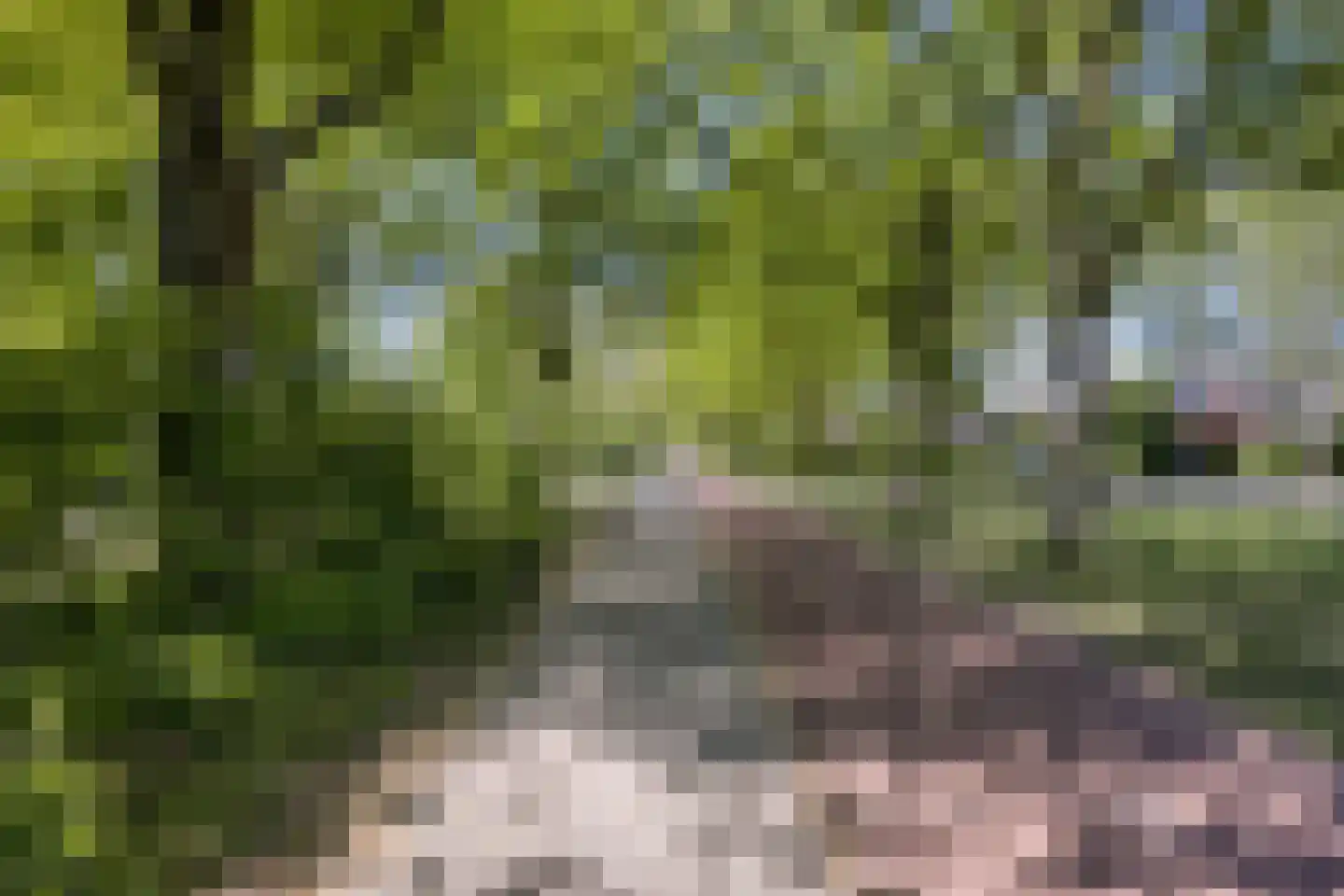 Laan van Nuenhem 3 Nuenen thumbnail 50